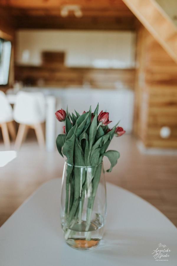 Sielanka Mazurska Villa Lepaki Wielkie Екстериор снимка